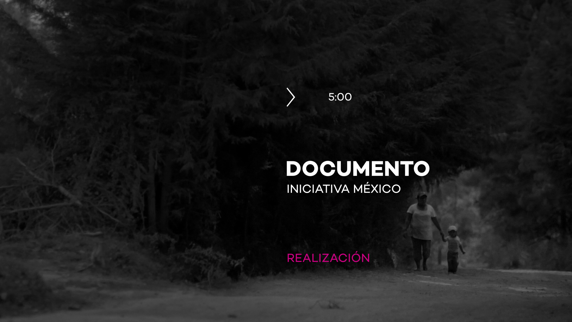 Iniciativa México | Documento